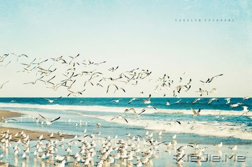 晚安心语:把手放开,你得到的是一切 (3)