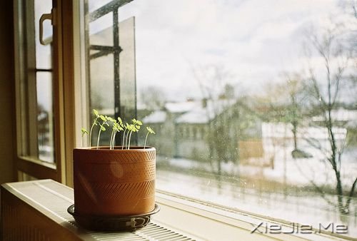 早安心语:用你的脚步,把世界走成爱的风景 (2)