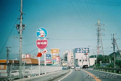 早安心语:逆风的方向,更适合飞翔 (3)