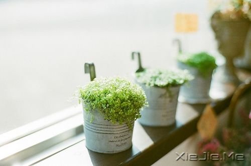 晚安心语:你不勇敢,没人替你坚强 (2)