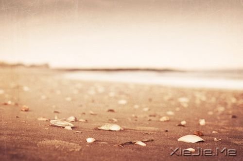 早安心语:情绪可以控制,但眼泪不会撒谎 (1)