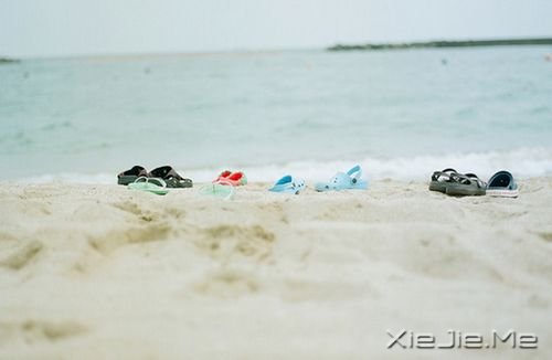 早安心语:你的心很小,不要装下太多忧伤 (5)