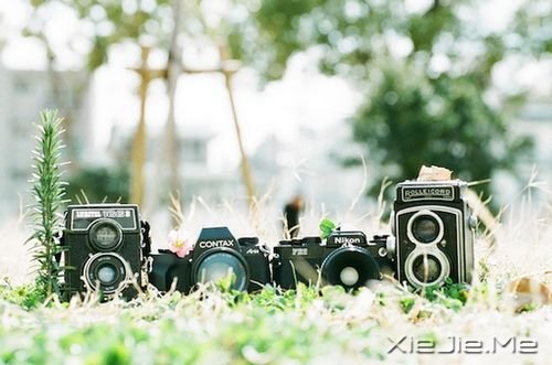 早安心语:生活只有经得起平静,方才显淡泊宁静的真实 (3)