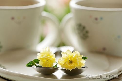 早安心语:你这么害怕明天,怎能过好今天 (7)