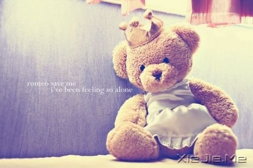 早安心语:手松开,你拥有的是一切 (11)