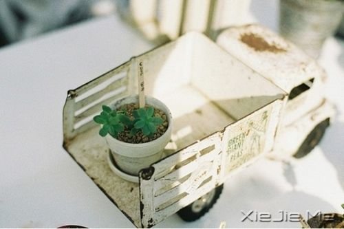 晚安心语:与其担心未来,不如现在好好努力 (3)