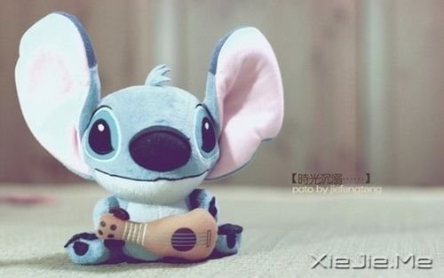 早安心语:心若没有栖息的地方,到哪里都是在流浪 (2)