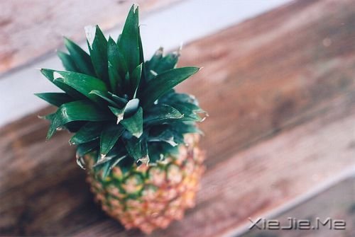 早安心语:不是因为我执着,而是因为你值得 (3)