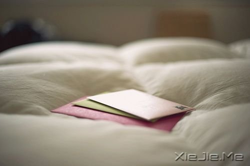 早安心语:生命太短,去爱那些对你好的人 (9)