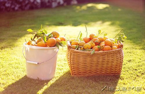 早安心语:与其多心,不如少根筋 (8)