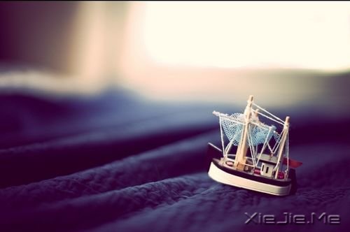 无论发生什么,先善待自己 (7) 小清新图片 (7)