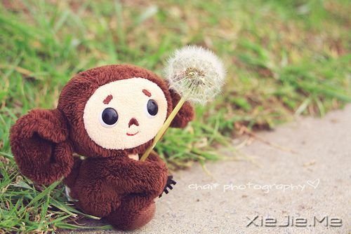 经历一些事,读懂一些人 (7)