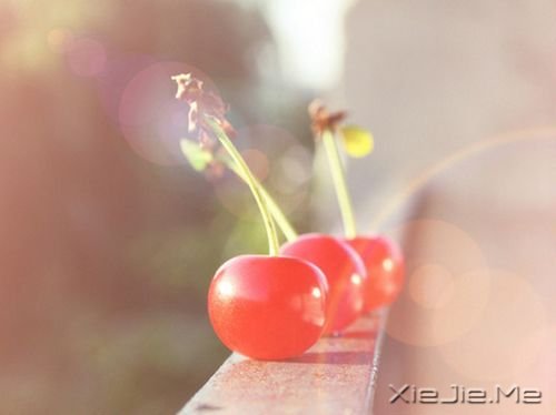 我们都一样,各自有光芒 (7)