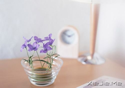 晚安心语:累了,蹲下来抱抱自己 (5)