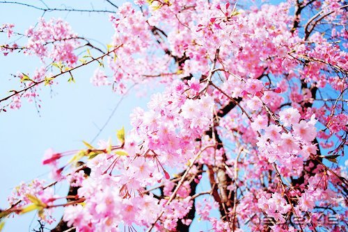 常常观自心,便会更智慧 (1)