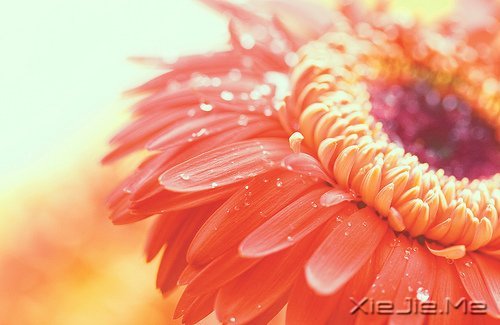 留几手:没有谁是不可取代的