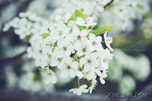 做好自己不留任何遗憾 (11)