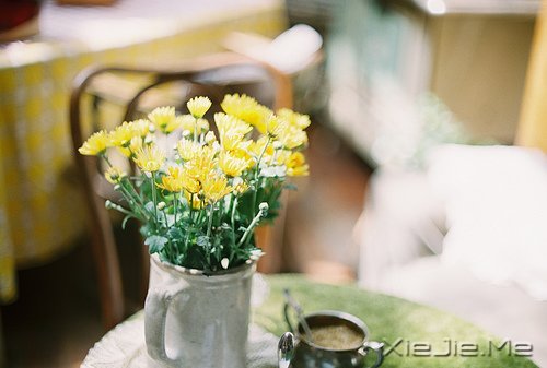 自己喜欢的日子,就是最美的日子 (5)