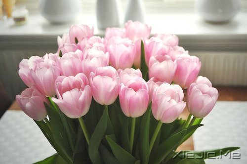 从一到十的幸福人生