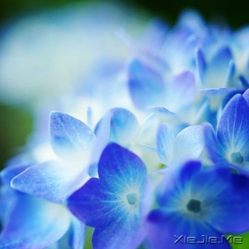 生活的九大智慧 (7)