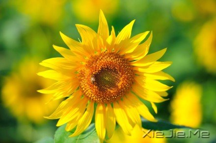 经典语录:你的世界,就是整个世界 (4)