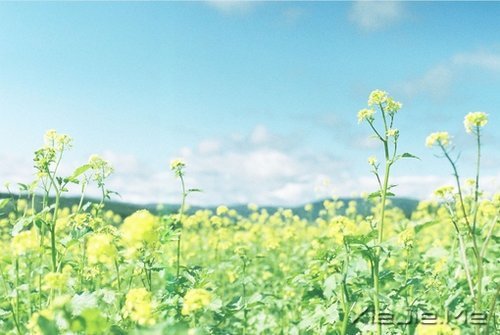 传递正能量,分享20个励志小故事