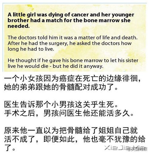 给我希望,15个温暖的小故事 (12)