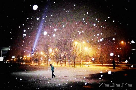 情感故事:属于别离的四个词语