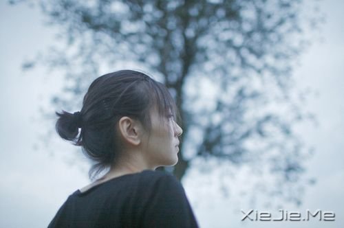 做人强硬一点,人生就会顺畅一点