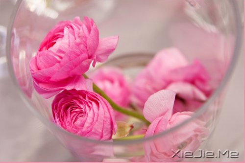 经典语录:只要适合自己,就是幸福 (7)