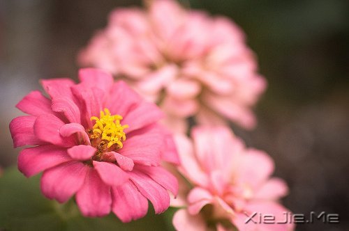 ���֣�5���ͷ�ѹ���ļ򵥷���