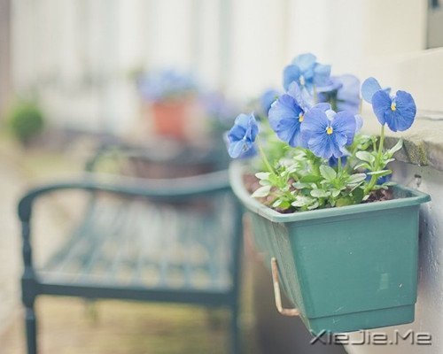 文字:贫穷不予温柔之名