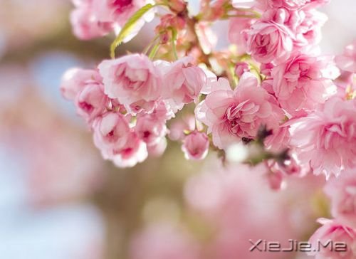 用一个月时间改变自己 (2)