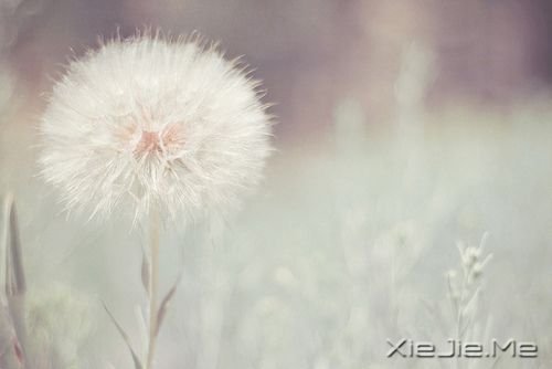 用一个月时间改变自己 (3)