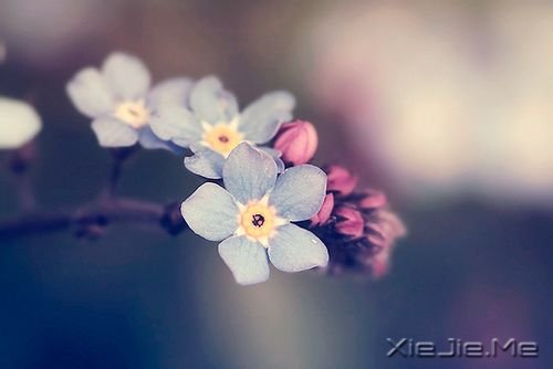 幸福就在身边,真的很简单