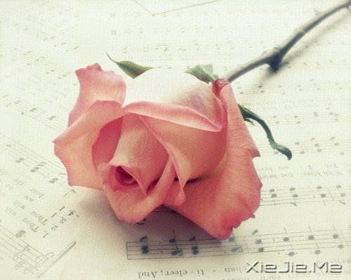 想念细成一条虚线