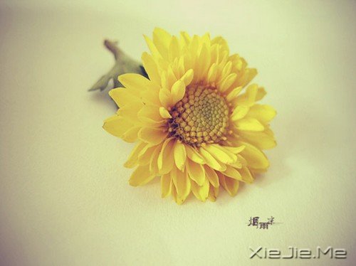 每天都是美好的日子